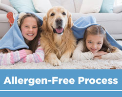 Allegren Free Carpet Cleaning