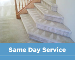 Same Day Cleaning Service